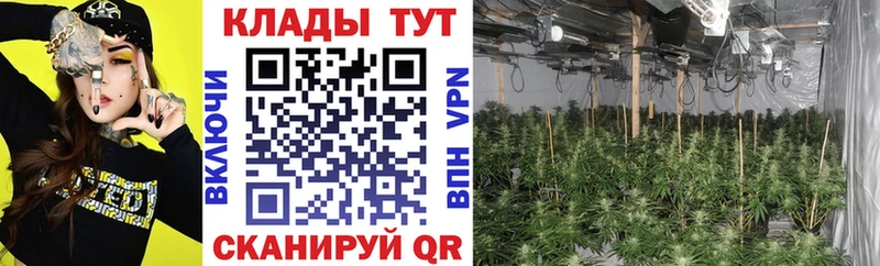 Наркотические вещества Каспийск Каннабис  A-PVP  Псилоцибиновые грибы  Cocaine  Гашиш 