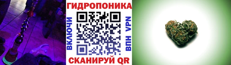 Бошки марихуана Amnesia  Каспийск 